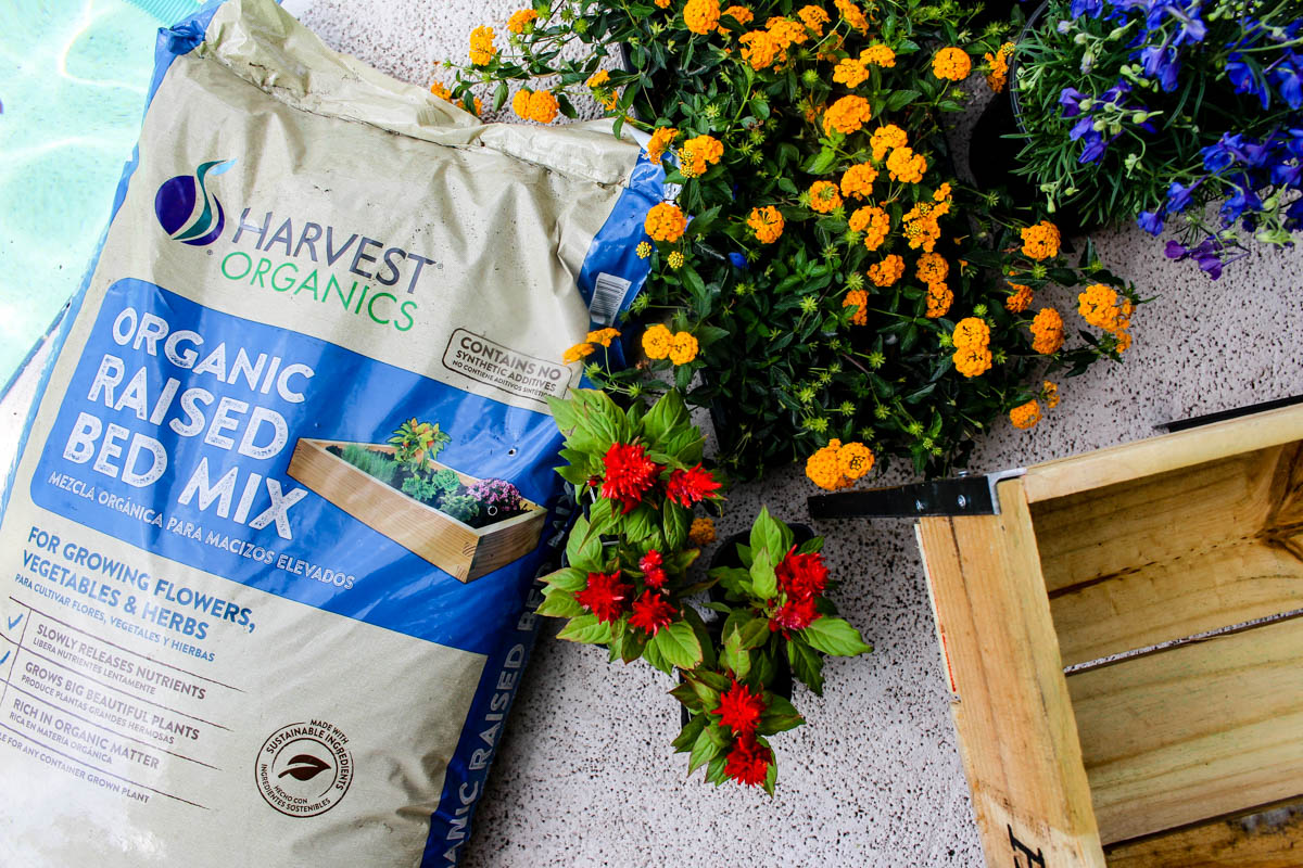 DIY Raised Garden Boxes with Organic Soil Within the Grove