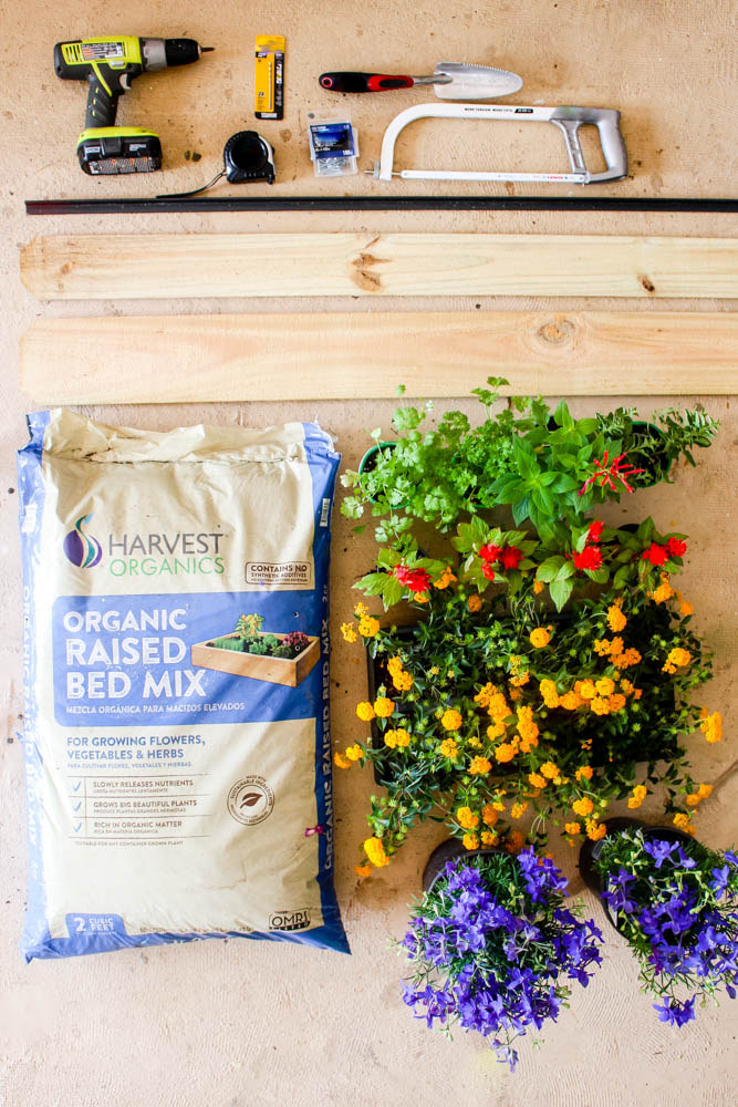 DIY Raised Garden Boxes with Organic Soil Within the Grove