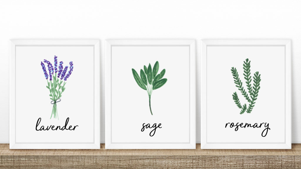 Free Printable // Herb Print Collection - Within the Grove